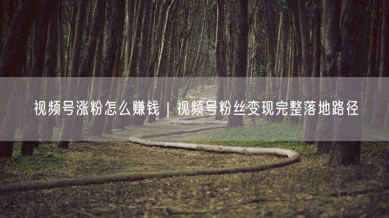 视频号涨粉怎么赚钱｜视频号粉丝变现完整落地路径