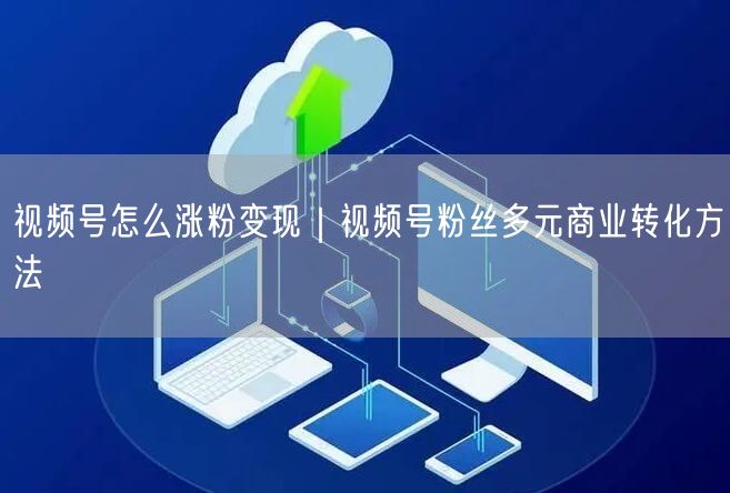 视频号涨粉变现全攻略：粉丝多元商业转化秘籍