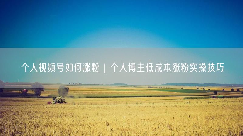个人视频号涨粉秘籍：低成本高效实操技巧