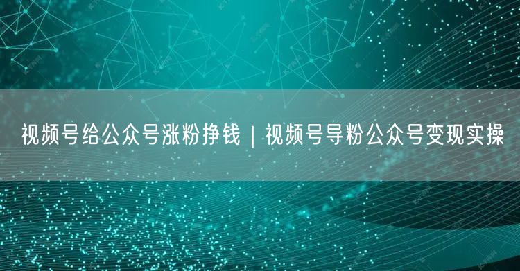 视频号导粉+公众号变现：私域流量运营实操指南
