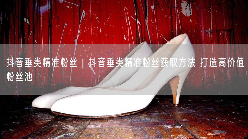 抖音垂类精准粉丝｜抖音垂类精准粉丝获取方法 打造高价值粉丝池
