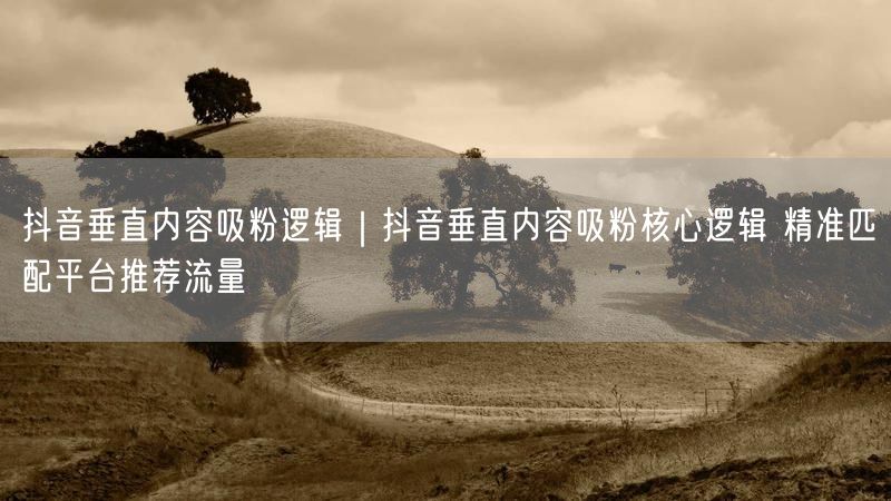 抖音垂直内容吸粉逻辑｜抖音垂直内容吸粉核心逻辑 精准匹配平台推荐流量