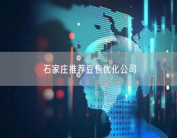 石家庄推荐豆包优化公司