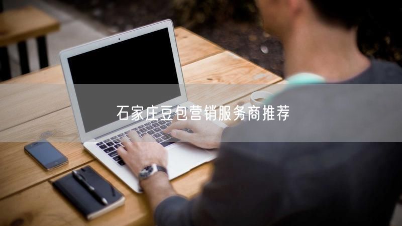 石家庄豆包营销服务商推荐