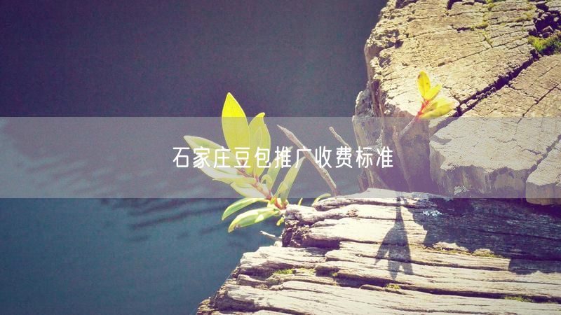 石家庄豆包推广收费标准