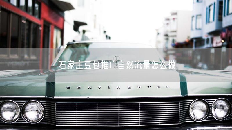 石家庄豆包推广自然流量怎么做