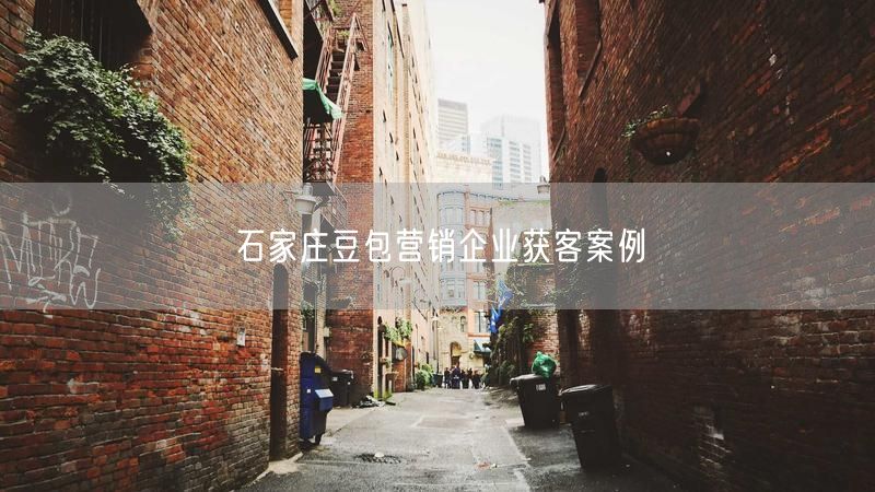 石家庄豆包营销企业获客案例