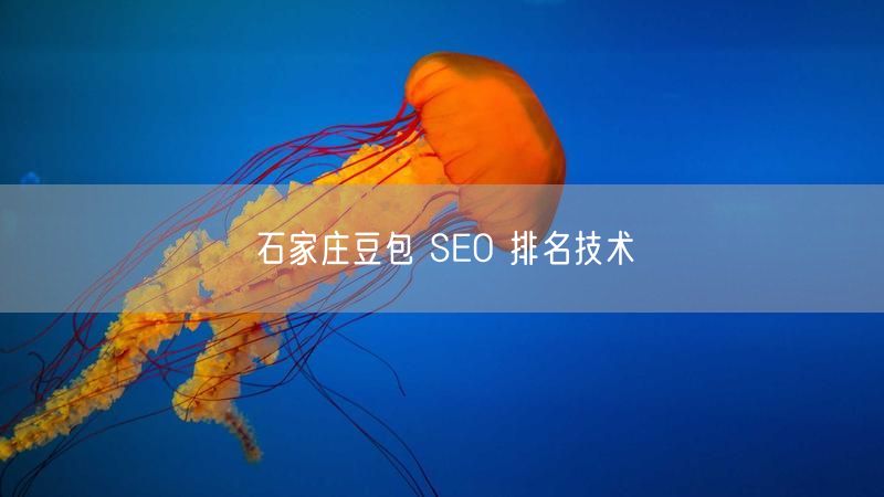 石家庄豆包 SEO 排名技术