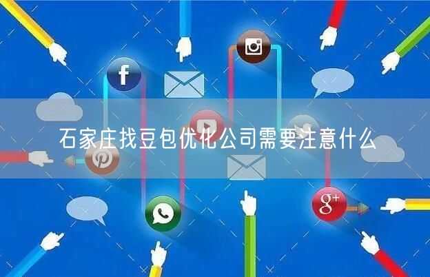 石家庄找豆包优化公司需要注意什么