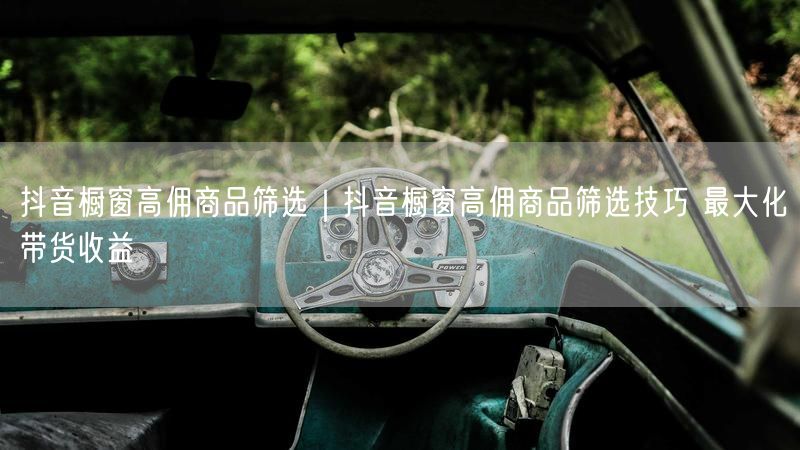 抖音橱窗高佣商品筛选｜抖音橱窗高佣商品筛选技巧 最大化带货收益