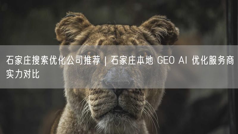 石家庄搜索优化公司推荐｜石家庄本地 GEO AI 优化服务商实力对比