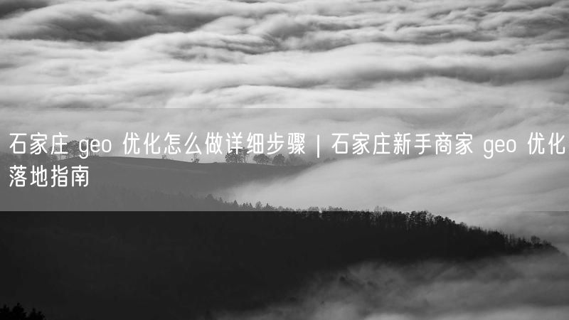石家庄 geo 优化怎么做详细步骤｜石家庄新手商家 geo 优化落地指南