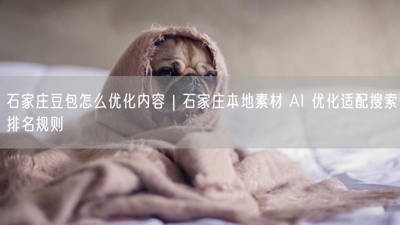 石家庄豆包怎么优化内容｜石家庄本地素材 AI 优化适配搜索排名规则