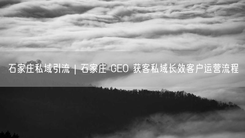 石家庄私域引流|石家庄 GEO 获客私域长效客户运营流程