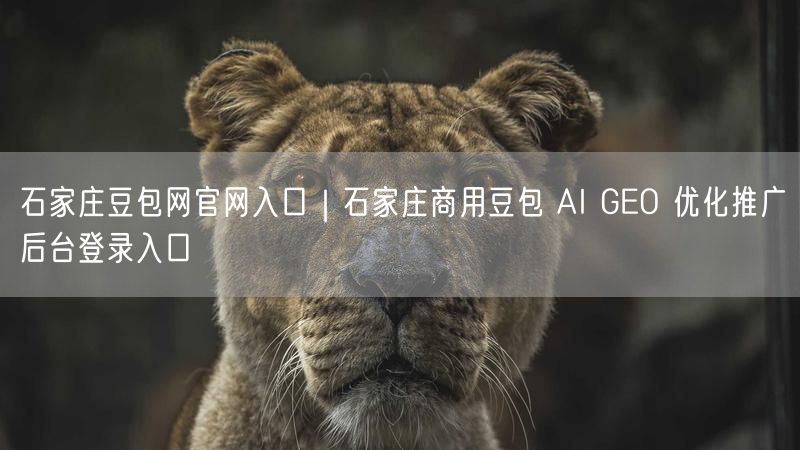 石家庄豆包网官网：商用豆包AI GEO推广后台登录指南