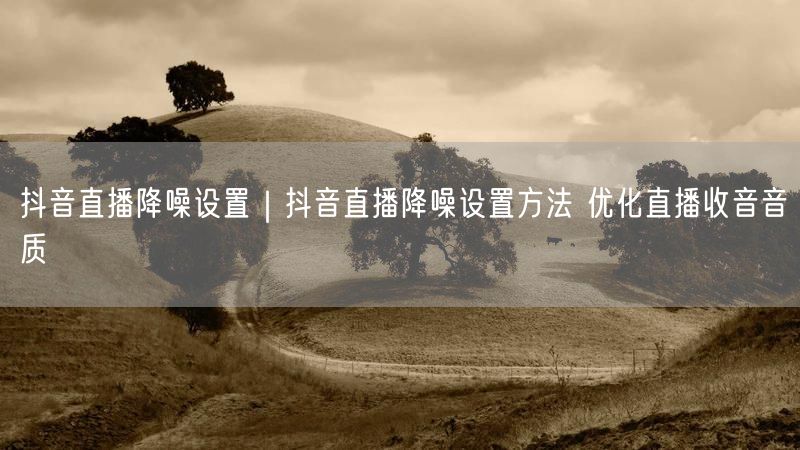 抖音直播技巧：降噪设置全攻略，轻松优化直播收音音质