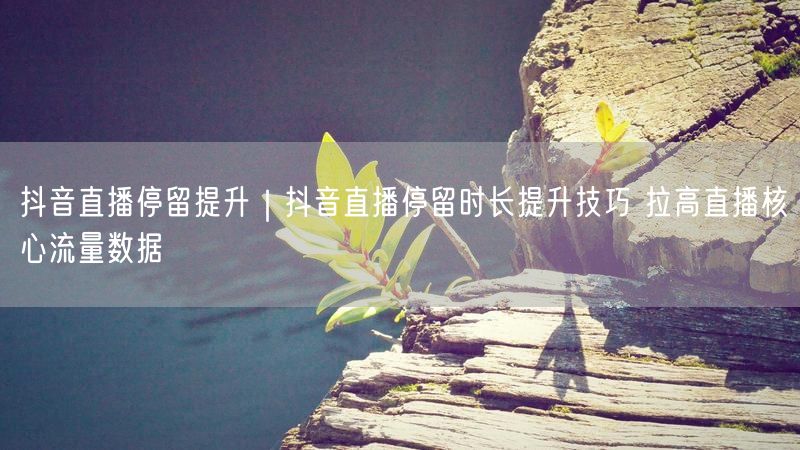 抖音直播停留提升｜抖音直播停留时长提升技巧 拉高直播核心流量数据