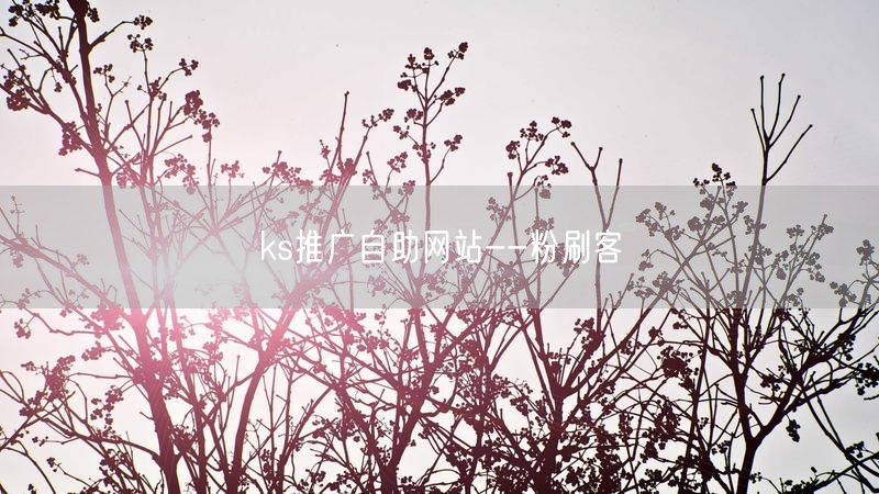 ks推广自助网站--粉刷客