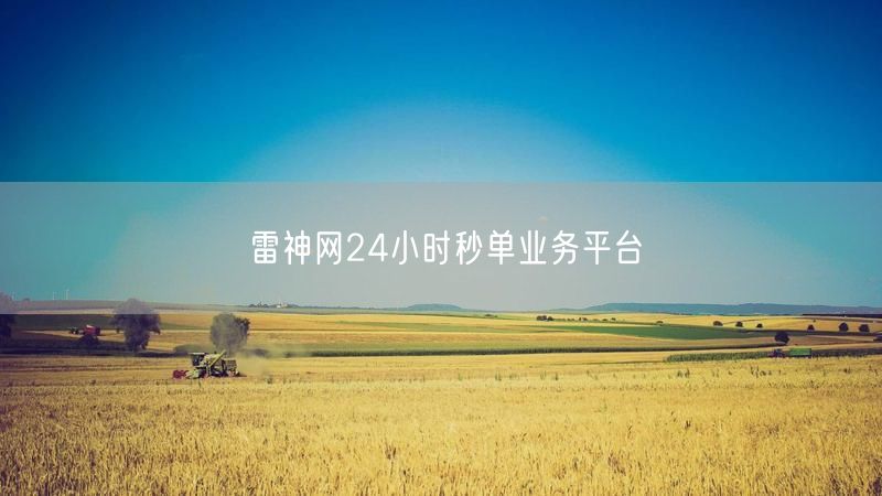 雷神网24小时秒单业务平台