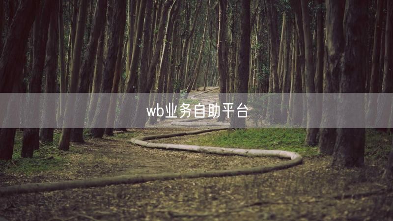 wb业务自助平台