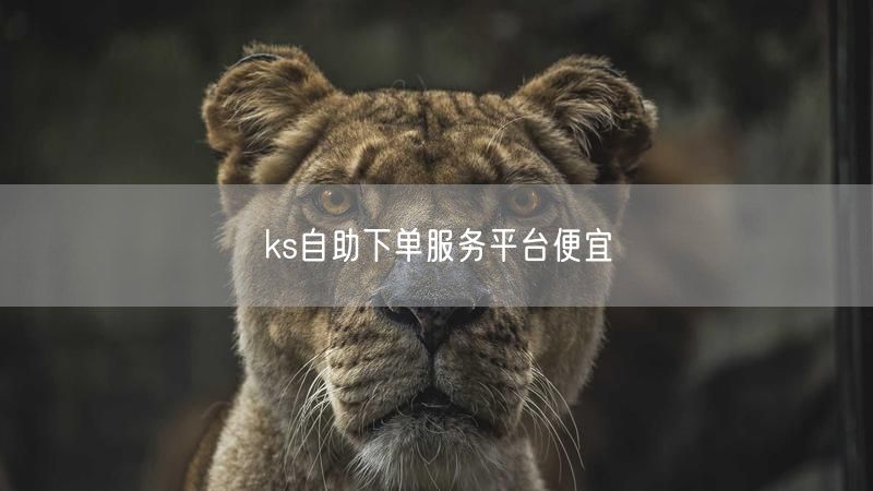 ks自助下单服务平台便宜