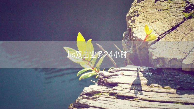 ks双击业务24小时