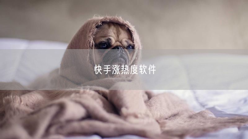 快手涨热度软件全解析：短视频运营工具助流量增长