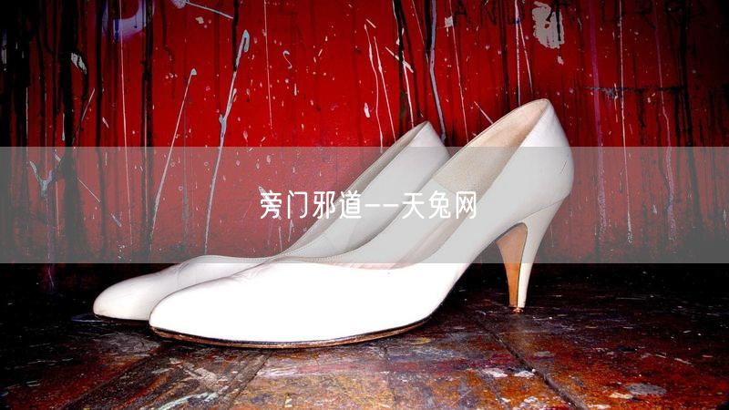 旁门邪道--天兔网