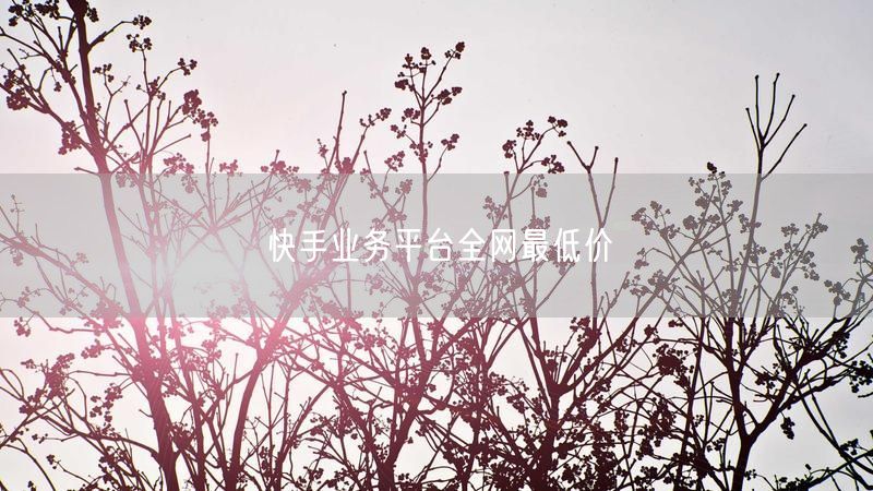快手业务平台全网最低价