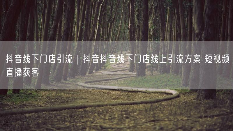 抖音线下门店引流｜抖音抖音线下门店线上引流方案 短视频直播获客