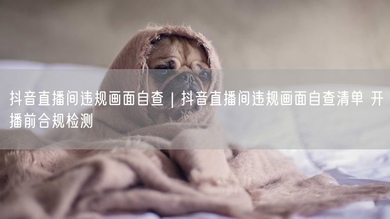天兔网--抖音直播间违规画面自查清单 开播前合规检测