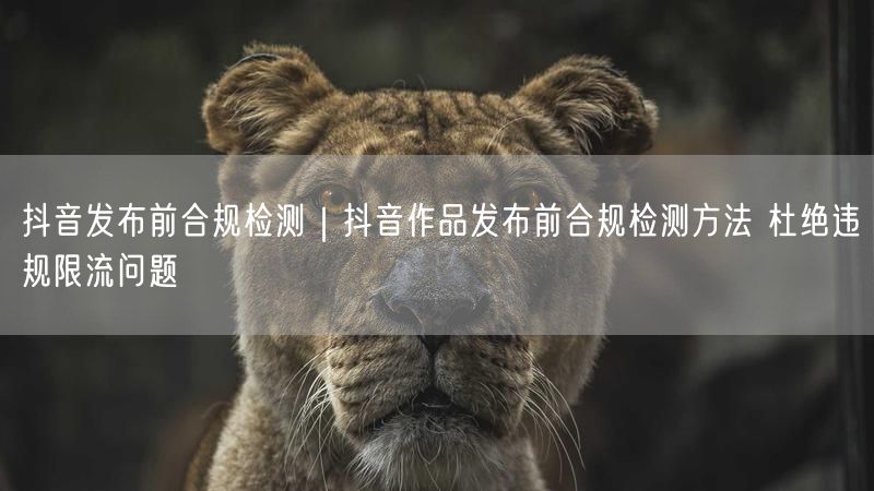天兔网--抖音作品发布前合规检测方法 杜绝违规限流问题