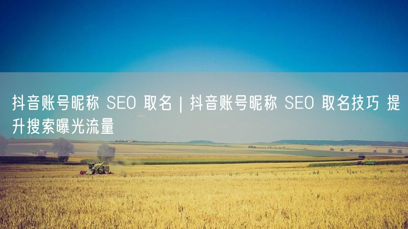 抖音账号昵称 SEO 取名｜抖音账号昵称 SEO 取名技巧 提升搜索曝光流量