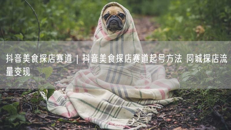 抖音美食探店赛道｜抖音美食探店赛道起号方法 同城探店流量变现