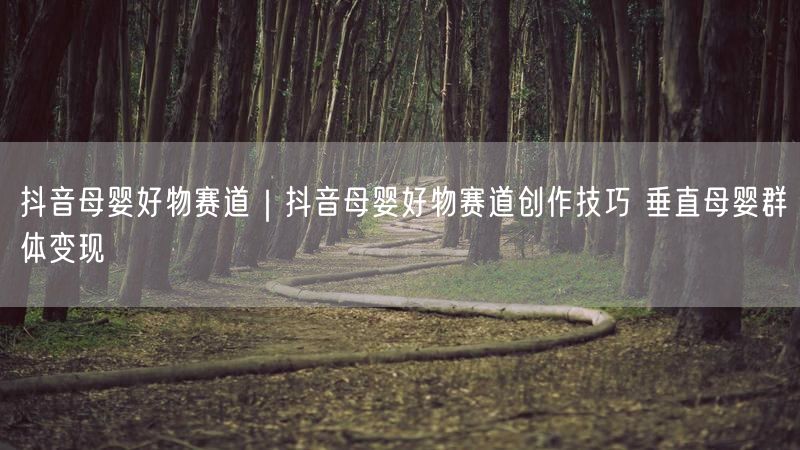 抖音母婴好物赛道｜抖音母婴好物赛道创作技巧 垂直母婴群体变现