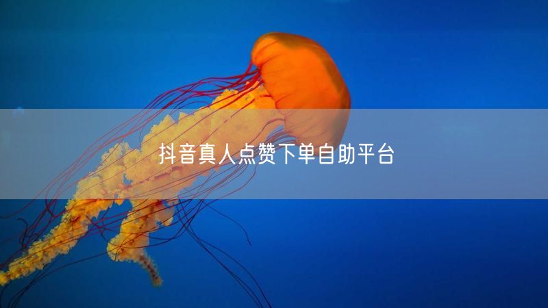 抖音真人点赞下单自助平台
