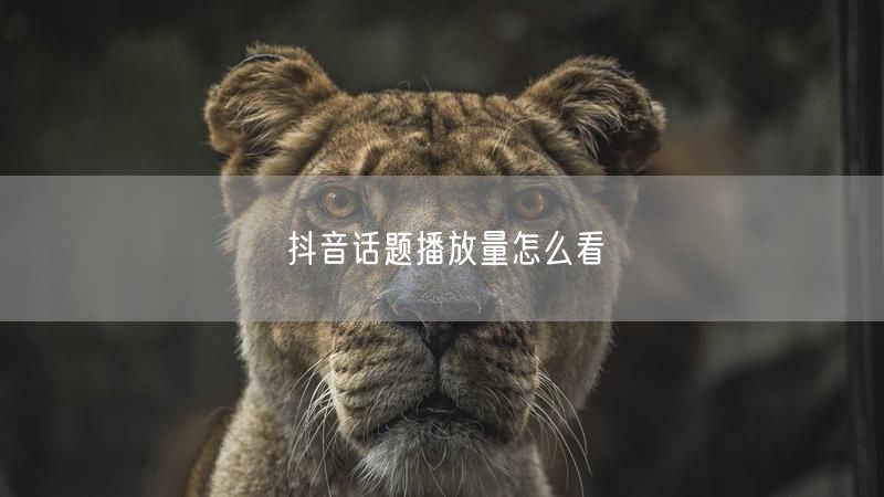 抖音话题播放量怎么看