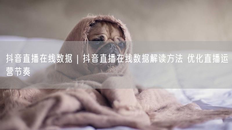 抖音直播在线数据｜抖音直播在线数据解读方法 优化直播运营节奏