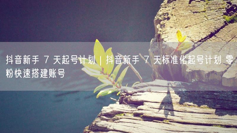 抖音新手 7 天起号计划｜抖音新手 7 天标准化起号计划 零粉快速搭建账号