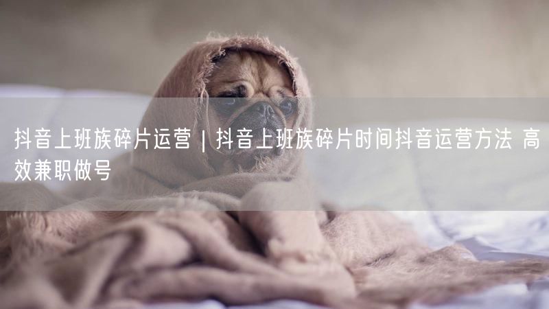 抖音上班族碎片运营｜抖音上班族碎片时间抖音运营方法 高效兼职做号