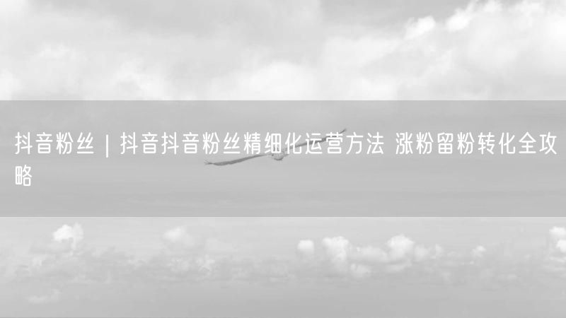 抖音粉丝｜抖音抖音粉丝精细化运营方法 涨粉留粉转化全攻略