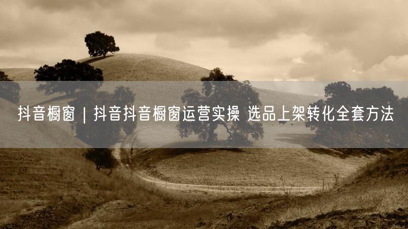 抖音橱窗｜抖音抖音橱窗运营实操 选品上架转化全套方法