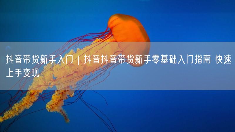 抖音带货新手入门｜抖音抖音带货新手零基础入门指南 快速上手变现
