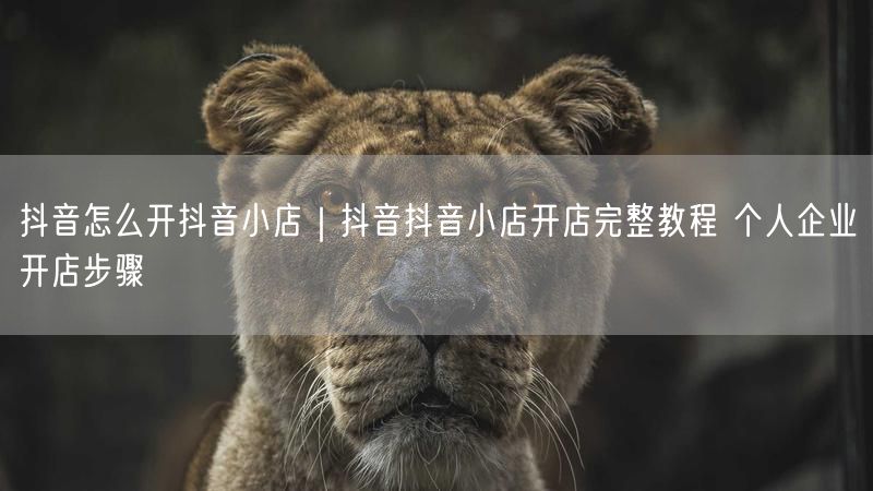抖音怎么开抖音小店｜抖音抖音小店开店完整教程 个人企业开店步骤