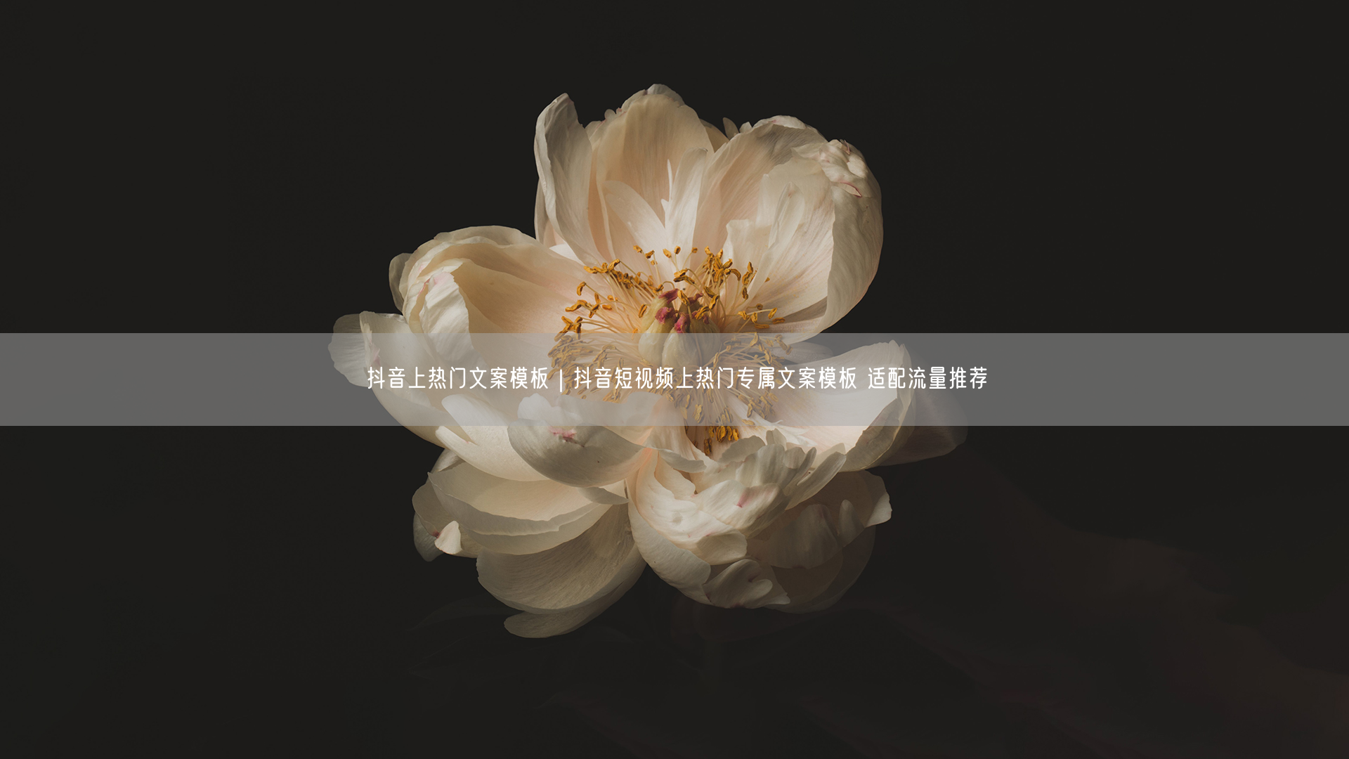抖音上热门文案模板｜抖音短视频上热门专属文案模板 适配流量推荐