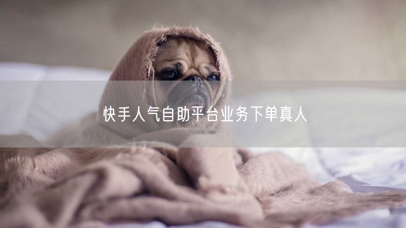 快手人气自助平台业务下单真人