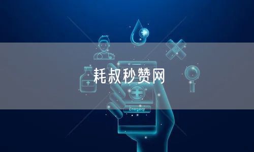 耗叔秒赞网