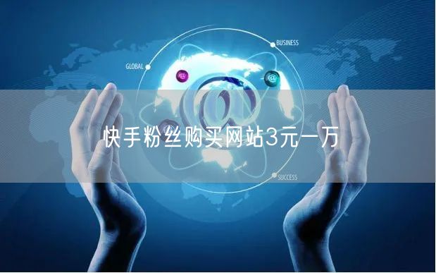 快手粉丝购买网站3元一万