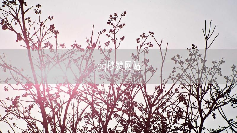 qq秒赞网站