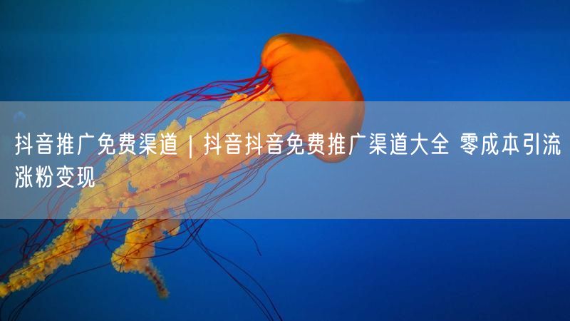 抖音推广免费渠道｜抖音抖音免费推广渠道大全 零成本引流涨粉变现